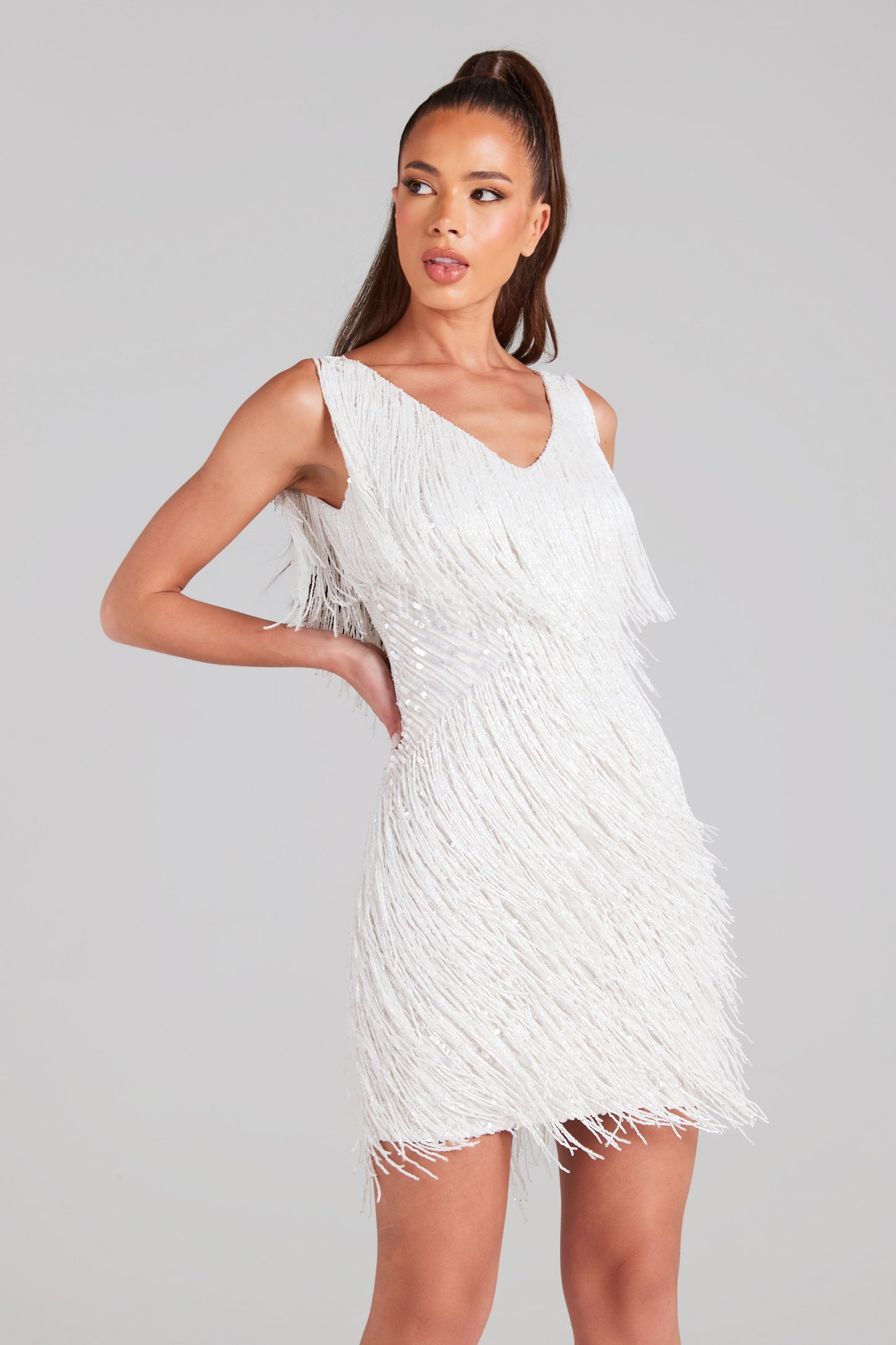 Euphoria Shimmering Fringed Dress