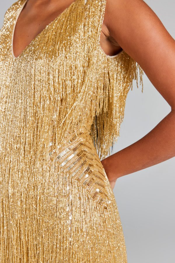 Euphoria Shimmering Fringed Dress